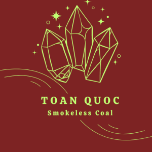 Giới thiệu than mùn cưa 3 SAWDUST 1