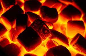 thantoanquoc.com 2025 06 19 12 04 01